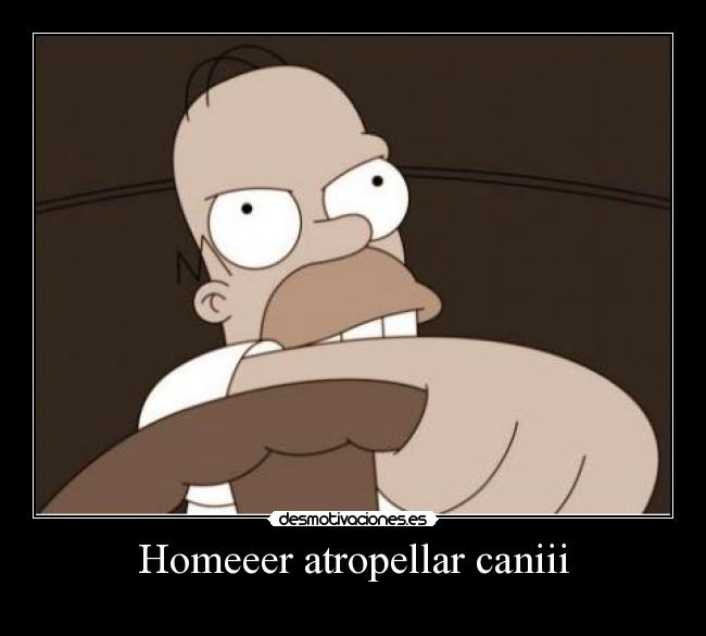 Homeeer atropellar caniii - 