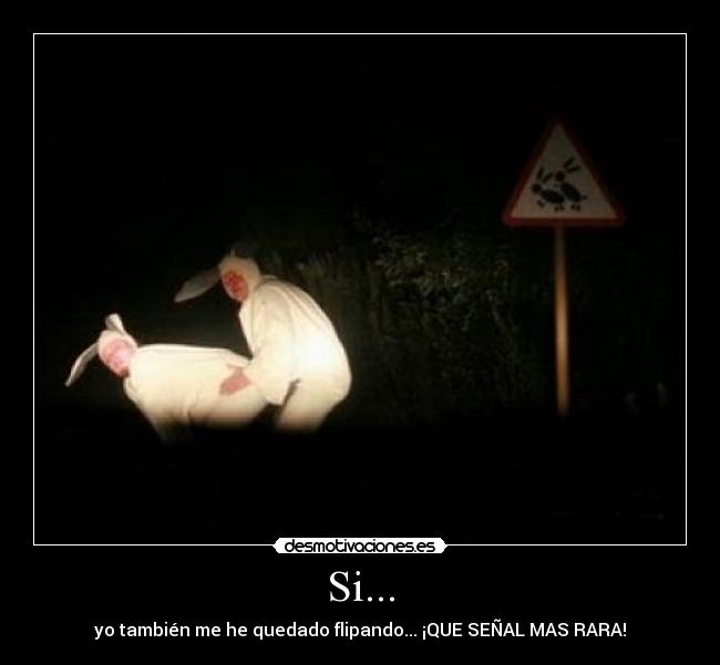 carteles conejos desmotivaciones