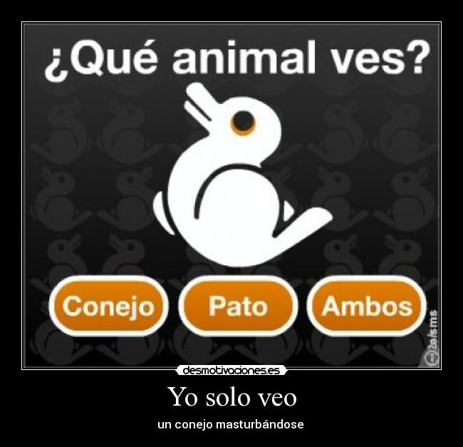 Yo solo veo - un conejo masturbándose