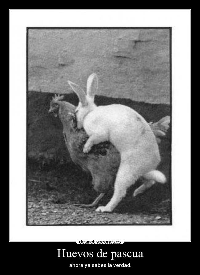 Huevos de pascua - ahora ya sabes la verdad.