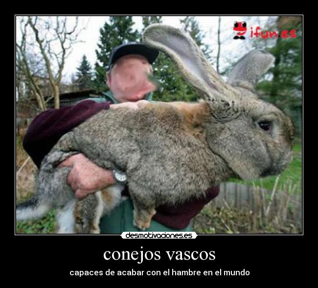 conejos vascos - capaces de acabar con el hambre en el mundo