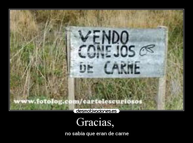 Gracias,  - 