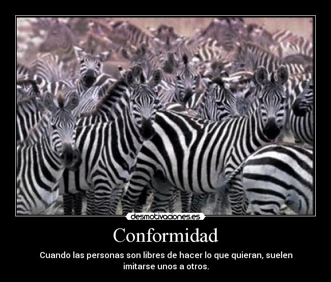 Conformidad -