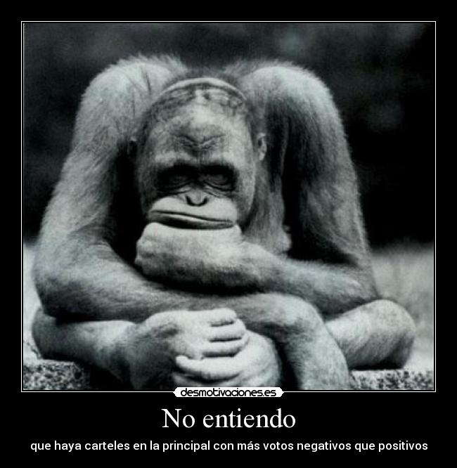No entiendo -