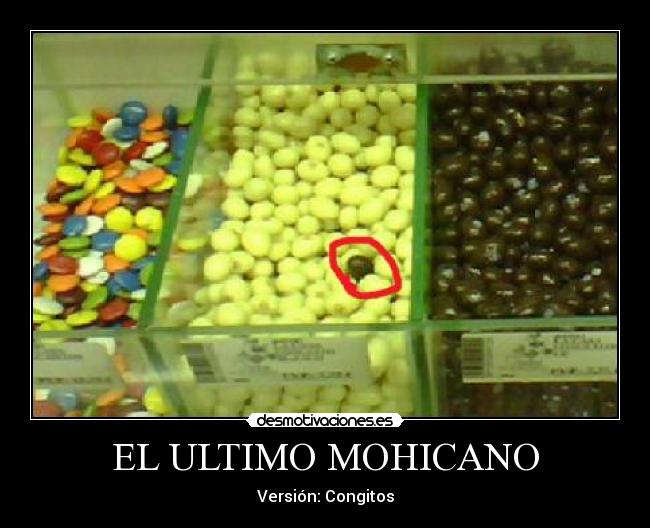 EL ULTIMO MOHICANO -