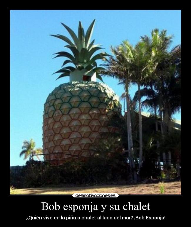 Bob esponja y su chalet -