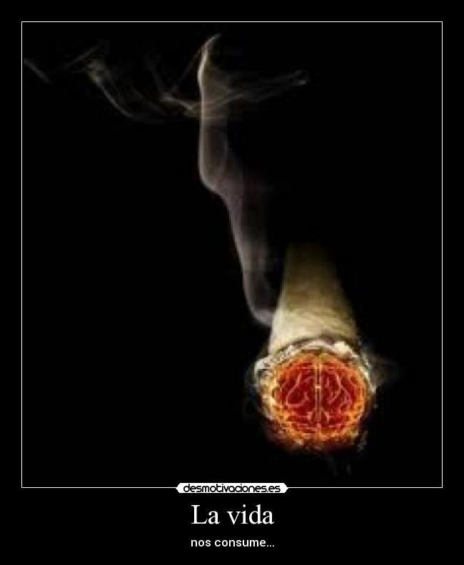 La vida - nos consume...