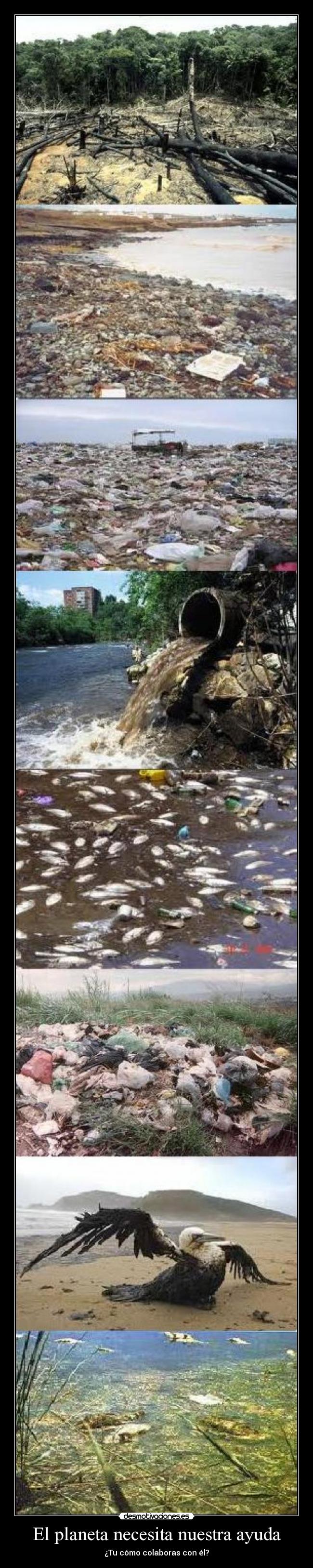 El planeta necesita nuestra ayuda - ¿Tu cómo colaboras con él?