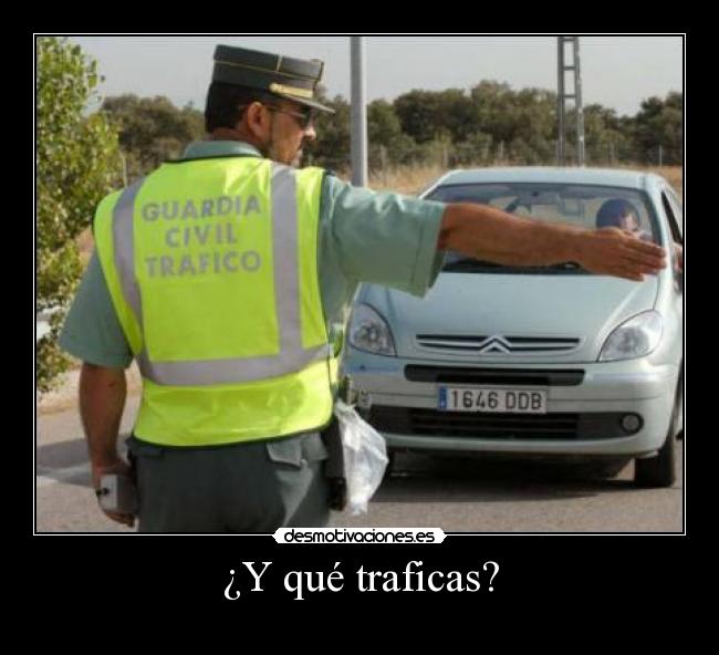 ¿Y qué traficas? -