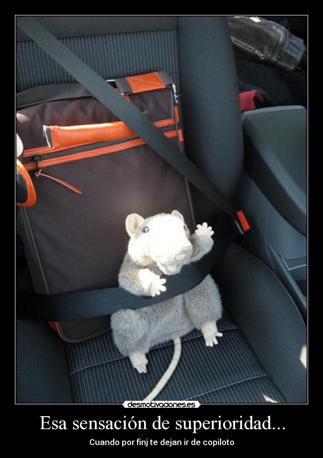 Esa sensación de superioridad... - Cuando por finj te dejan ir de copiloto