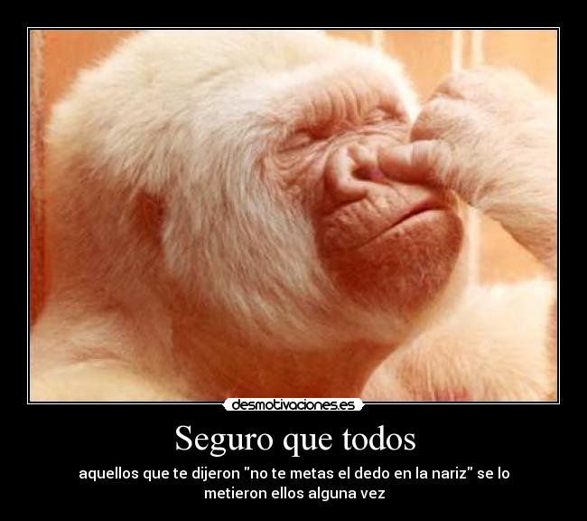 Seguro que todos - 