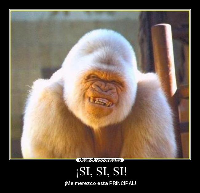 ¡SI, SI, SI! - ¡Me merezco esta PRINCIPAL!
