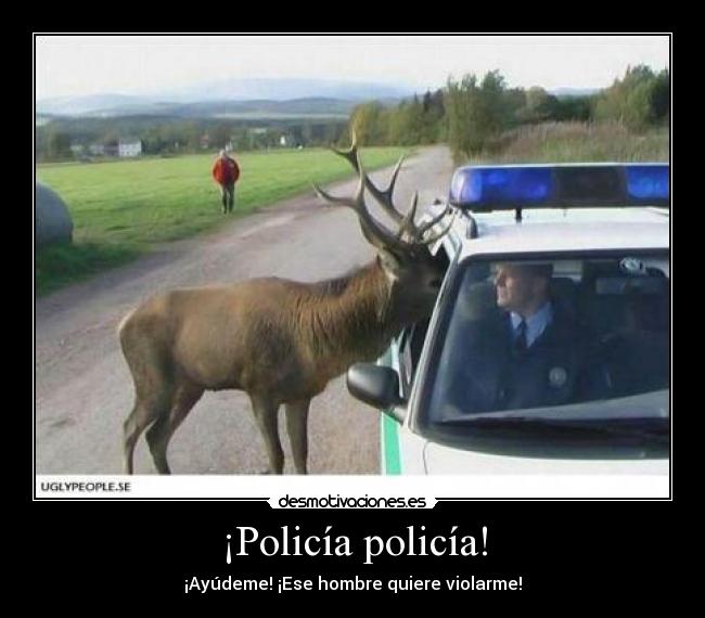 ¡Policía policía! - 