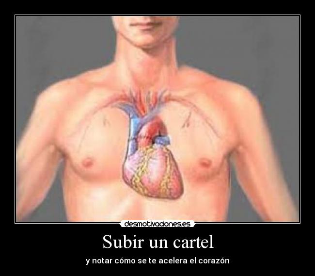 carteles cartel desmotivaciones