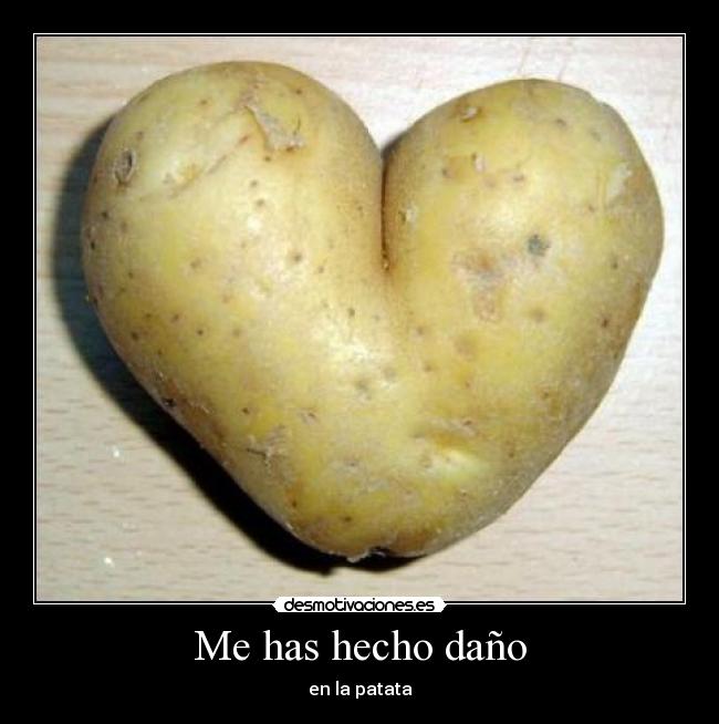 Me has hecho daño - 