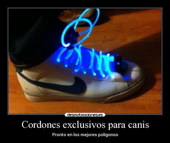 Cordones exclusivos para canis - Pronto en los mejores polígonos