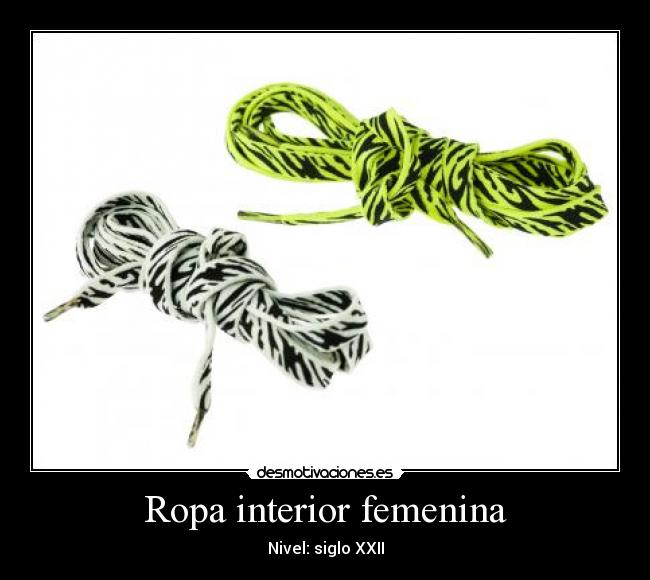 Ropa interior femenina - Nivel: siglo XXII