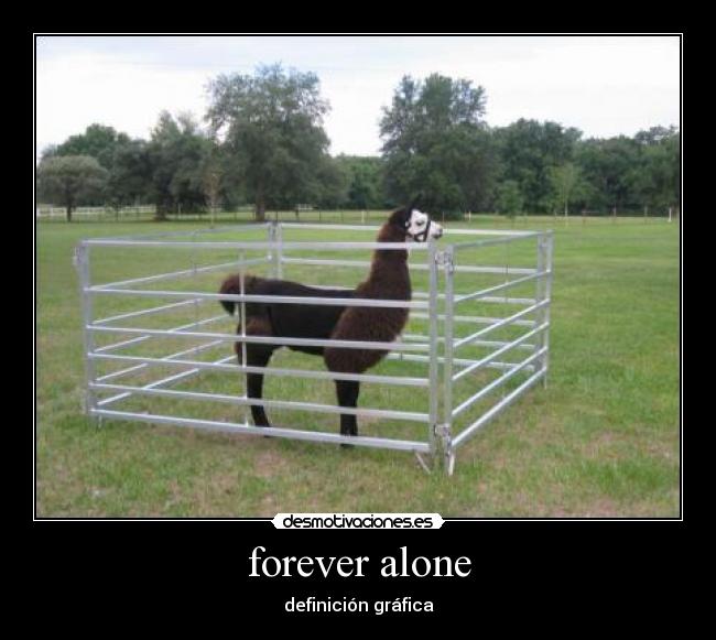 forever alone - definición gráfica