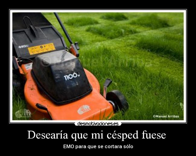 Desearía que mi césped fuese -