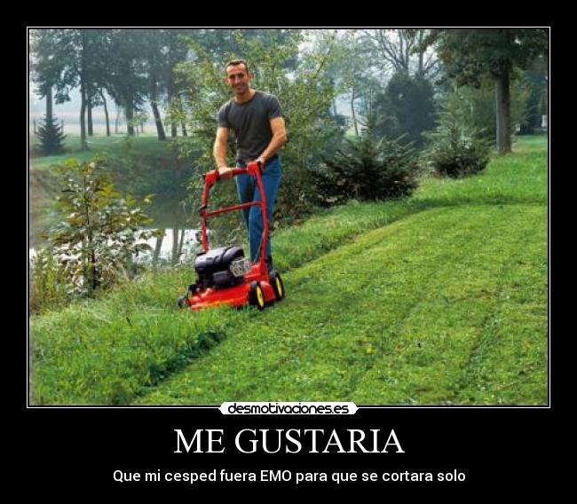 ME GUSTARIA - 