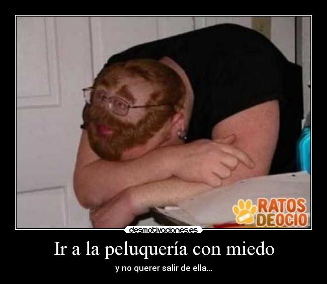 Ir a la peluquería con miedo - y no querer salir de ella...