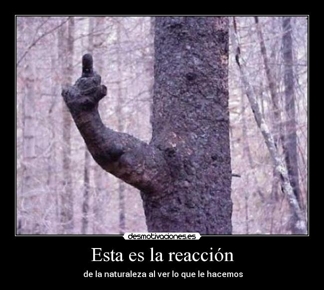 Esta es la reacción - de la naturaleza al ver lo que le hacemos