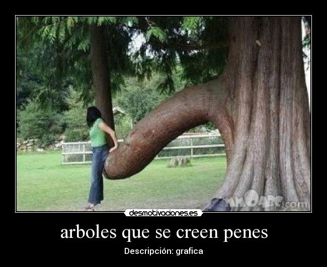 arboles que se creen penes - Descripción: grafica