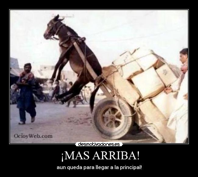 ¡MAS ARRIBA! -