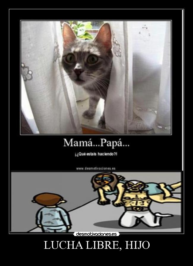 LUCHA LIBRE, HIJO -