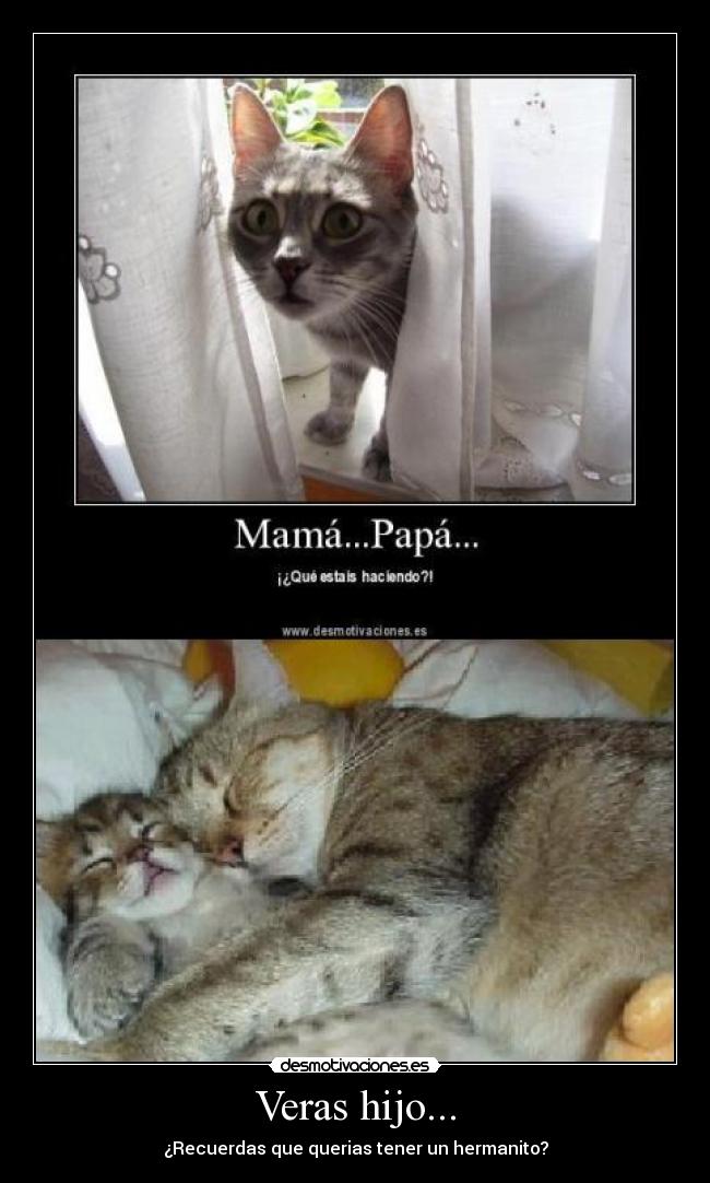 Veras hijo... - ¿Recuerdas que querias tener un hermanito?