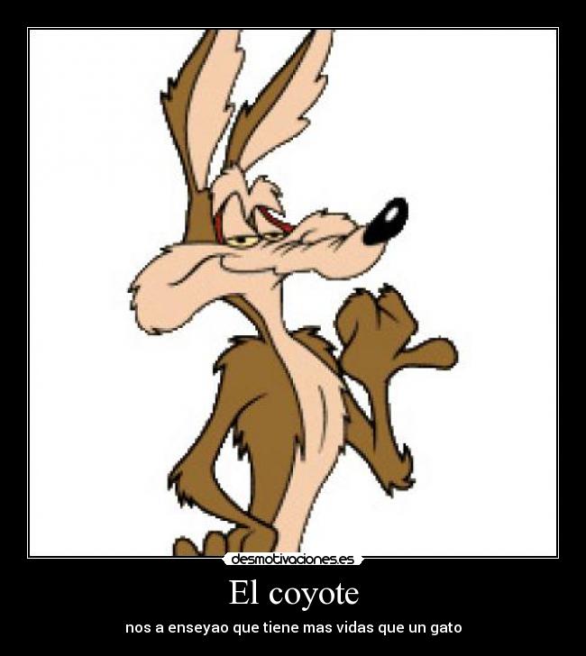 El coyote - 