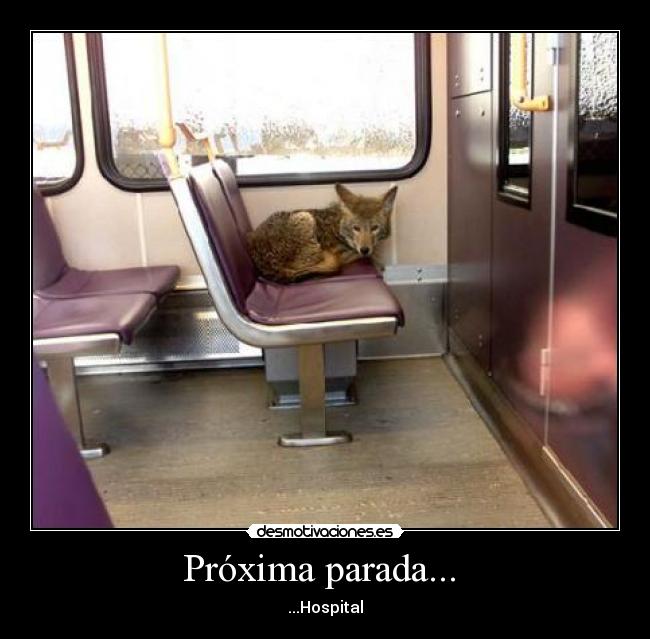 Próxima parada... - ...Hospital