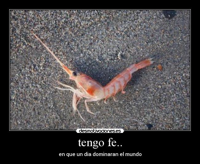 tengo fe.. - en que un dia dominaran el mundo