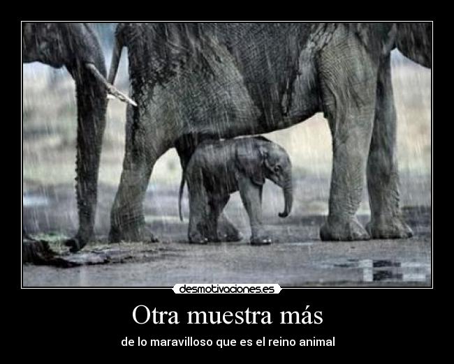 Otra muestra más -