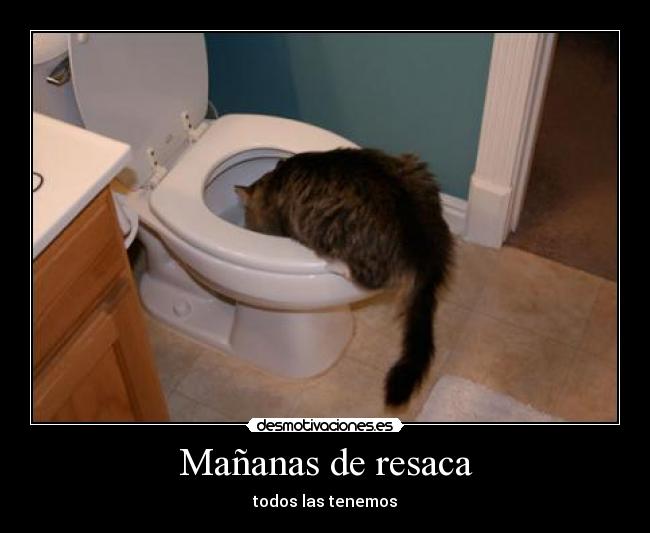 Mañanas de resaca - todos las tenemos