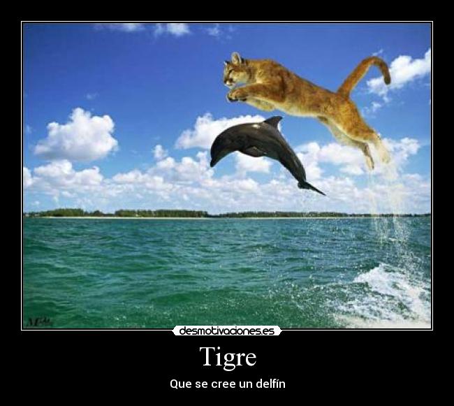 Tigre - Que se cree un delfín
