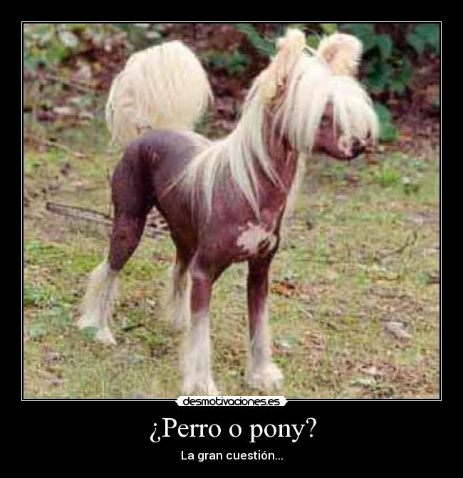 carteles preguntas desmotivaciones