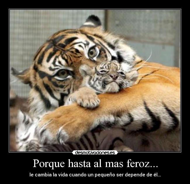 Porque hasta al mas feroz... - le cambia la vida cuando un pequeño ser depende de él...