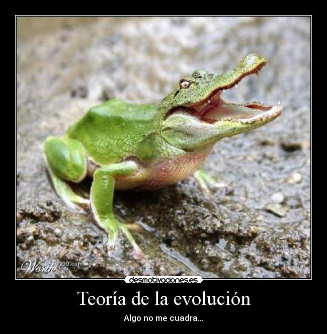 Teoría de la evolución - Algo no me cuadra...