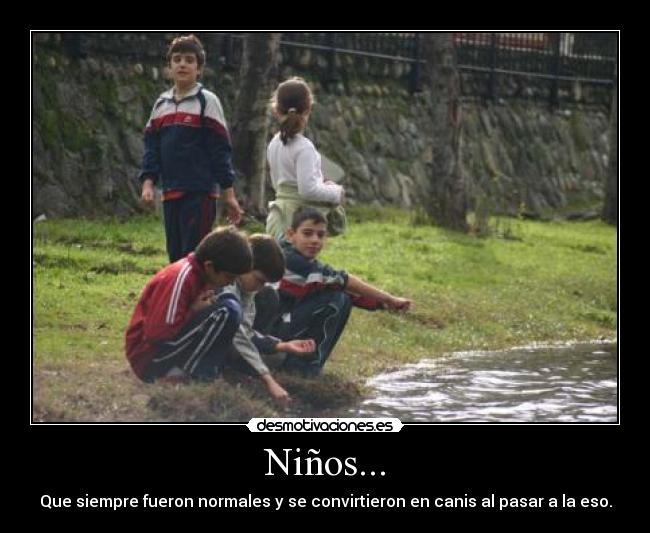 Niños... - Que siempre fueron normales y se convirtieron en canis al pasar a la eso.