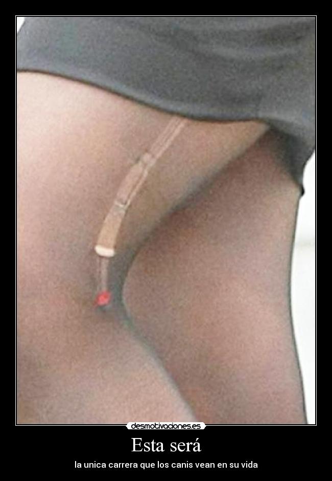 Esta será - la unica carrera que los canis vean en su vida