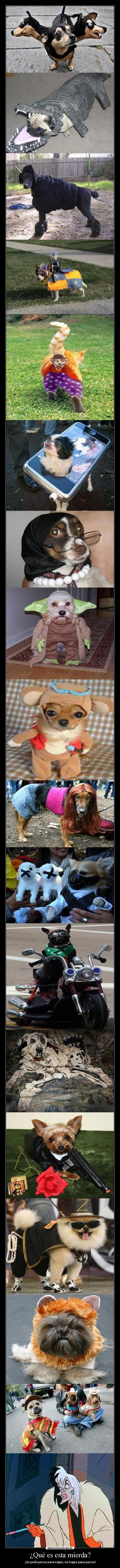 ¿Qué es esta mierda? - 