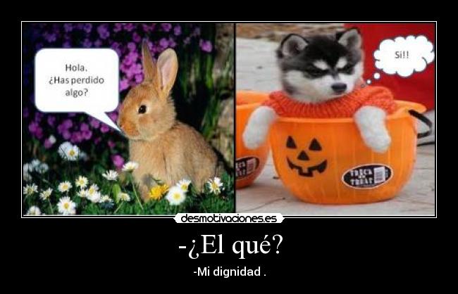 -¿El qué? - -Mi dignidad .