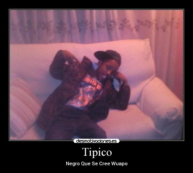 Tipico - 