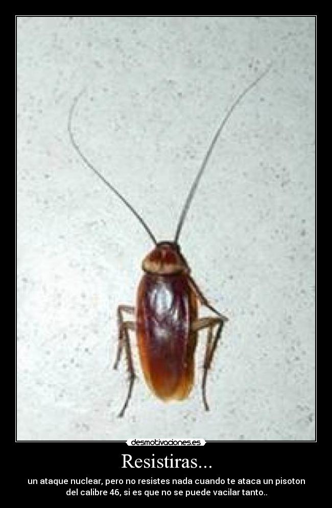 Resistiras... -