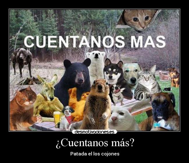 ¿Cuentanos más? -