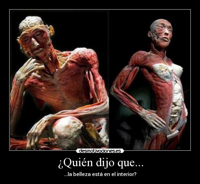 ¿Quién dijo que... - 