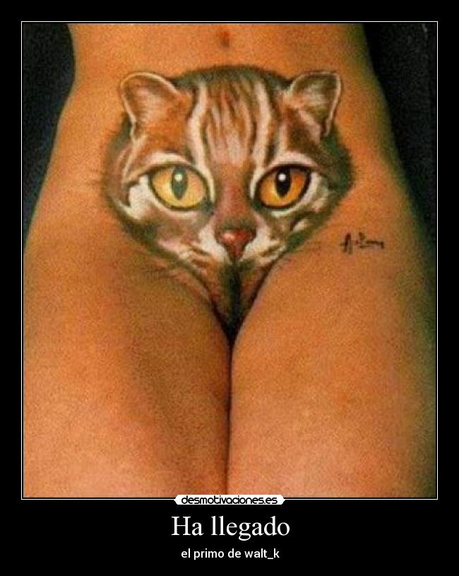 Ha llegado - el primo de walt_k
