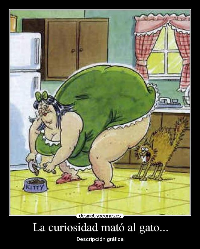La curiosidad mató al gato... - Descripción gráfica