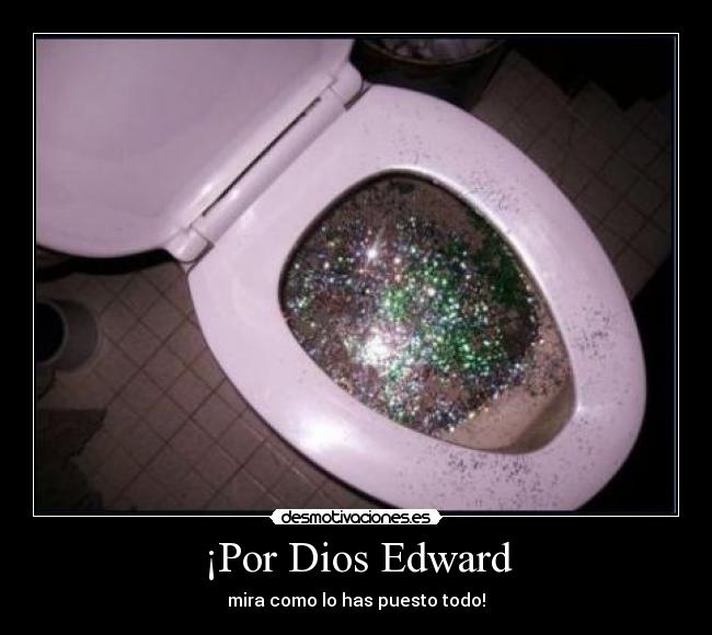 ¡Por Dios Edward - mira como lo has puesto todo!